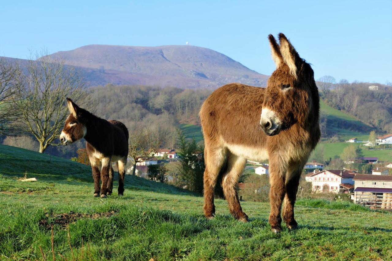 Baskoparadis I Eco-Gites I Calme I Vue I Anes I Jardin I Montagne I Nature Louhossoa Luaran gambar