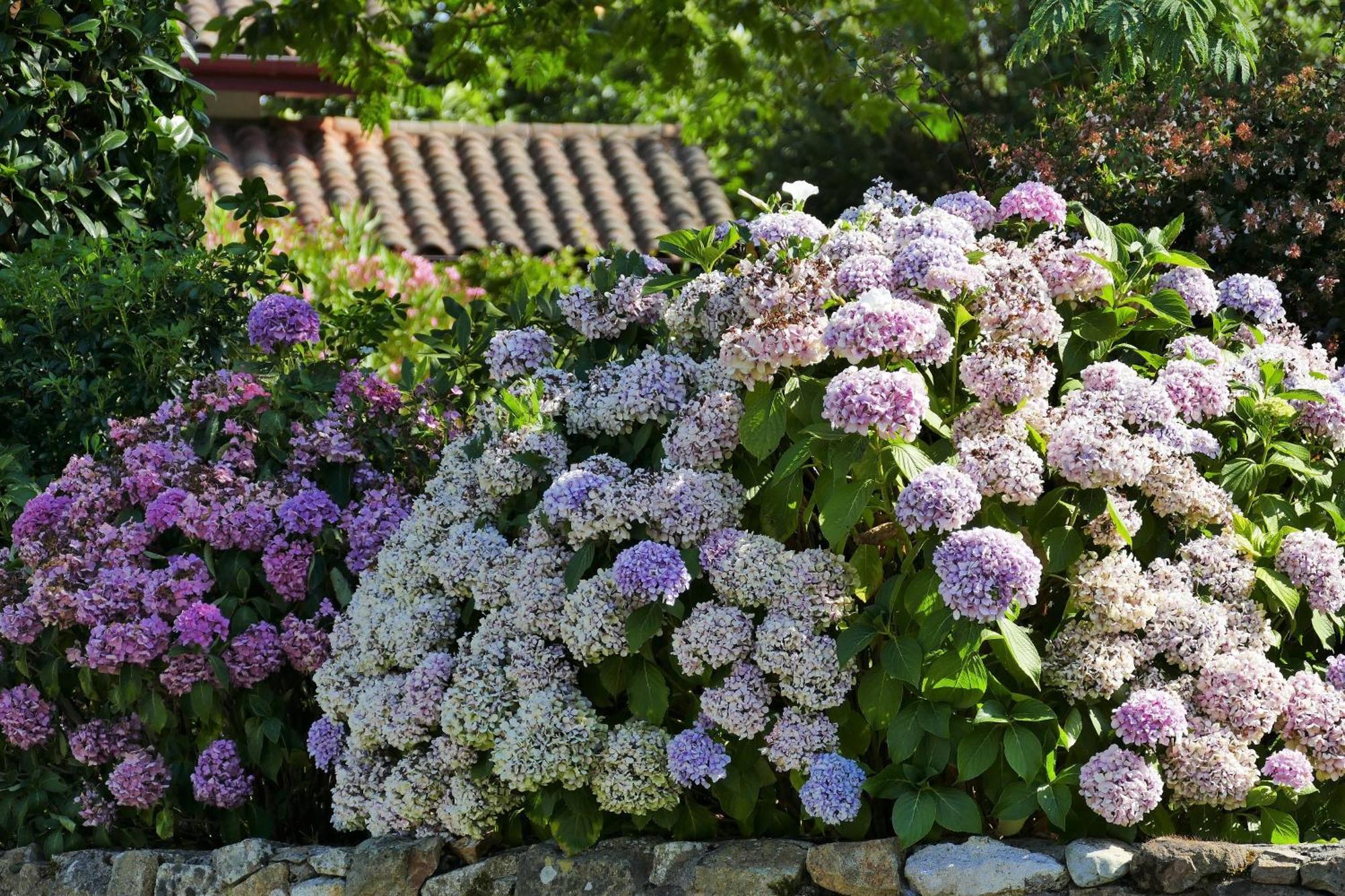 Baskoparadis I Eco-Gites I Calme I Vue I Anes I Jardin I Montagne I Nature Louhossoa Luaran gambar