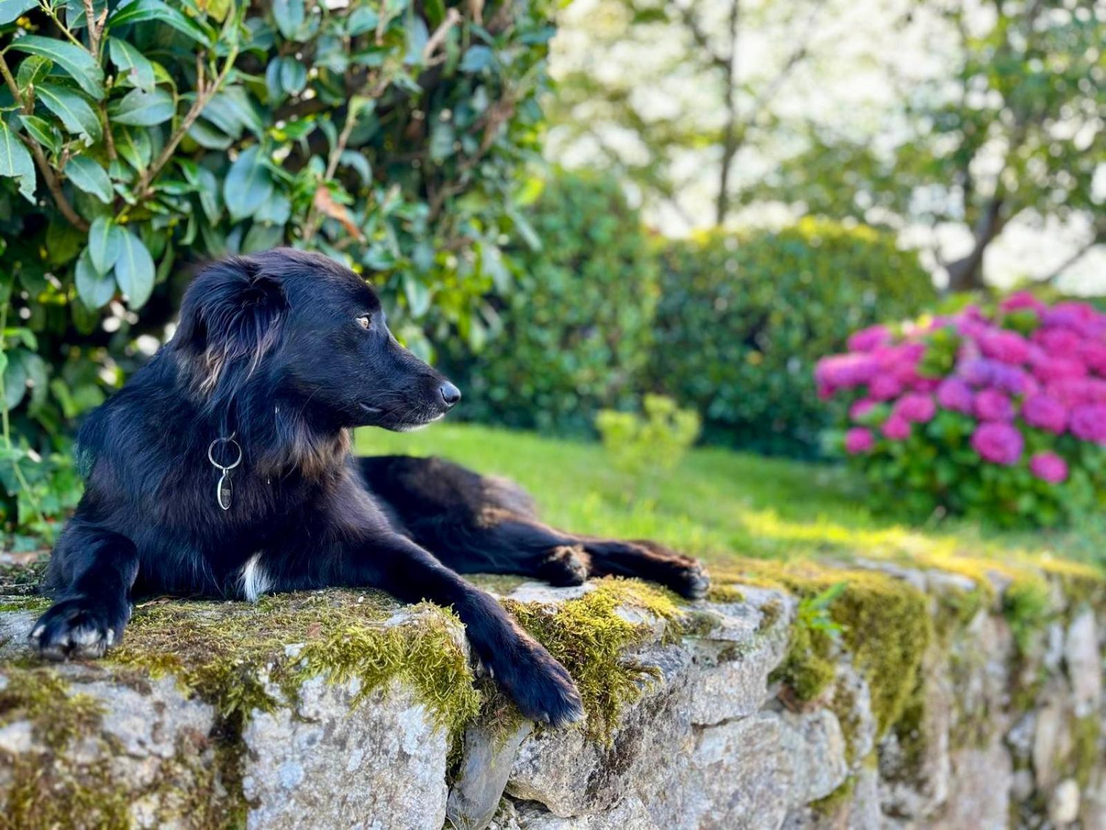 Baskoparadis I Eco-Gites I Calme I Vue I Anes I Jardin I Montagne I Nature Louhossoa Luaran gambar