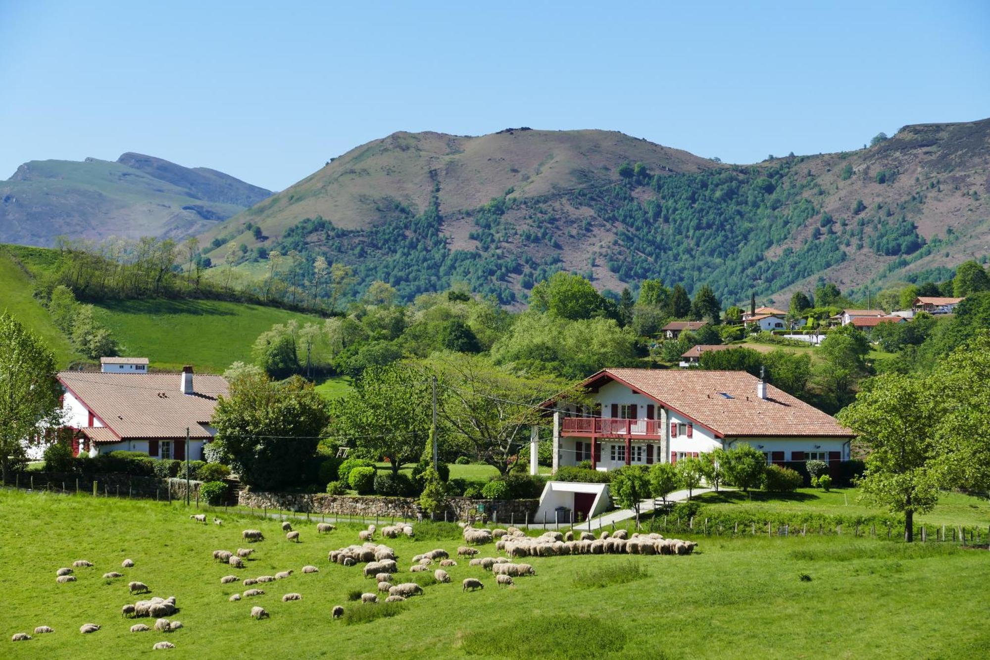 Baskoparadis I Eco-Gites I Calme I Vue I Anes I Jardin I Montagne I Nature Louhossoa Luaran gambar
